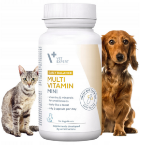 witaminy i minerały dla psów ras małych i kotów vet expert multivitamin mini