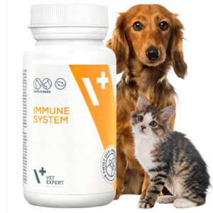 preparat na odporność dla psów i kotów kapsułki vet expert immune system