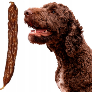 kiełbaski dla psów