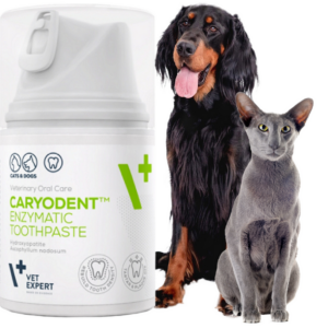 pasta do zębów dla psów i kotów vet expert