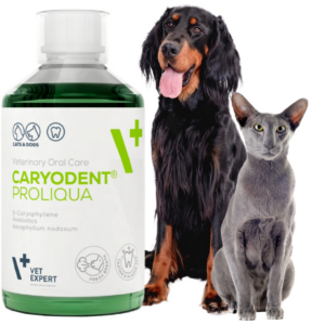 płyn do higieny jamy ustnej dla psa i kota vet expert caryodent proliqua