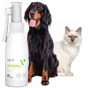 spray do higieny jamy ustnej dla psa i kota vet expert caryodent enzymatic 75g