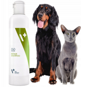 szampon regenerujący dla psa i kota dermokosmetyk vet expert repair 250ml